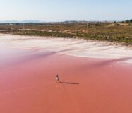 Нові квартири в Торрев’єсі з терасою 64 кв.м біля моря