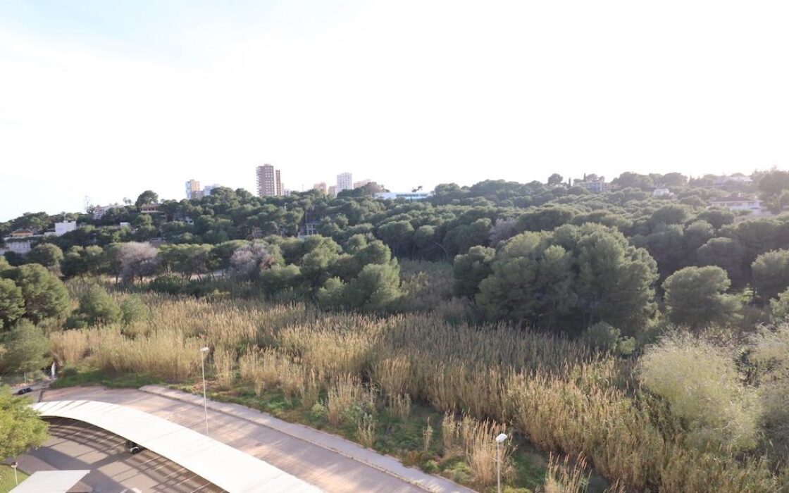 Апартаменты 106 кв.м у моря в Dehesa de campoamor