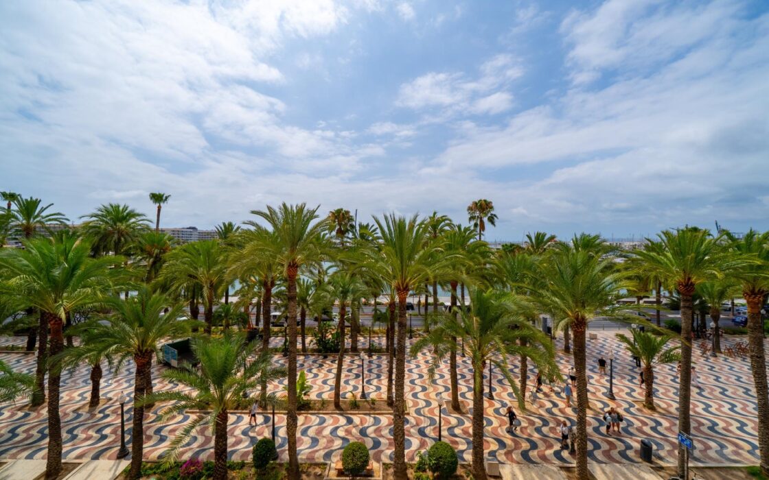 Апартаменты в Аликанте 200 кв.м с видом на море и террасой