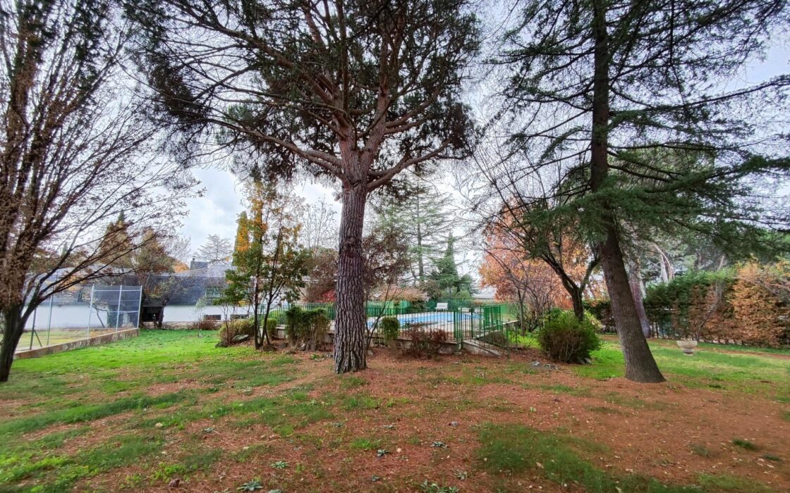 Дом в Сото-дель-Реаль 7 комнат с бассейном и террасой