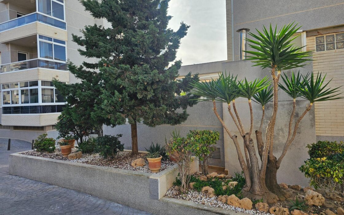 Современная квартира с террасой в Торревьехе 61 кв.м