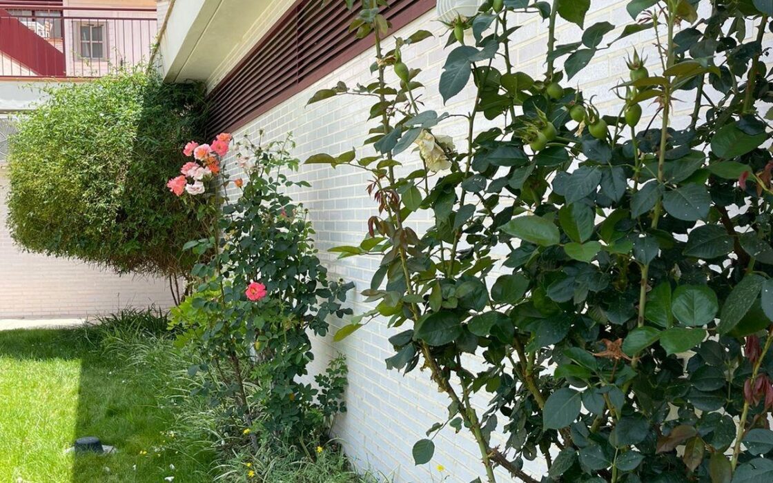 Апартаменти 47 кв.м з терасою в Вильянуэві-дель-Ріо-Сегура