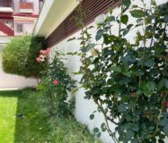 Апартаменти 47 кв.м з терасою в Вильянуэві-дель-Ріо-Сегура